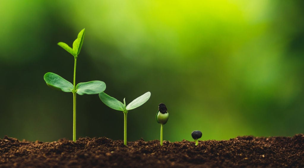 The Basics of B2B Lead Nurturing